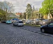 ul. Parkowa stanowiąca łącznik „zielonej rzeki” z parkiem Wilsona (palmiarnia — po lewej)