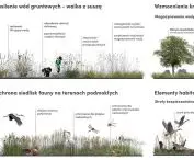 elementy projektowe