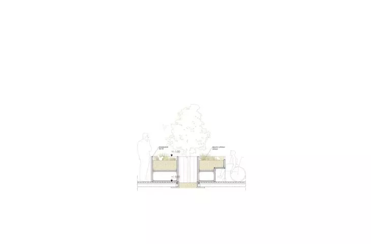 section