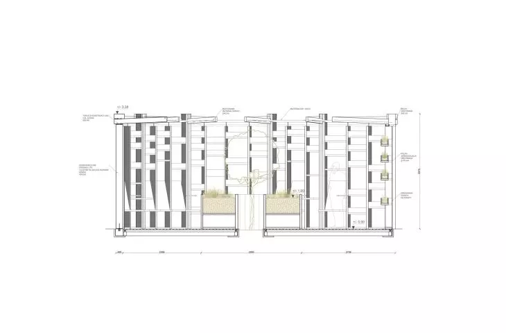 longitudinal section