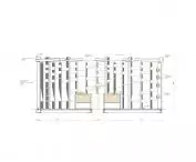 longitudinal section