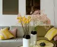 Apartment in Saska Kepa