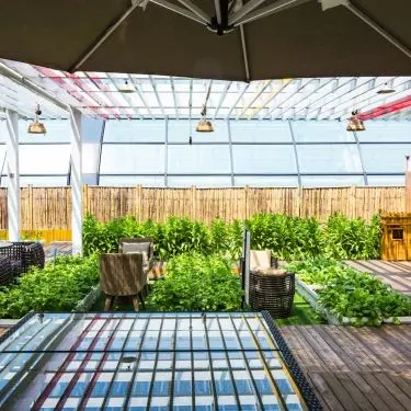 A properly selected canopy should fit the size of the terrace, balcony or garden, leaving room for the planned greenery