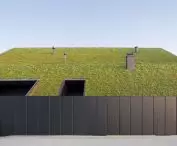 Home behind the roof