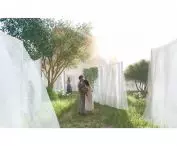 the basis of the positive complex is open space without hard, restricted passages, which have been replaced by soft organic shapes