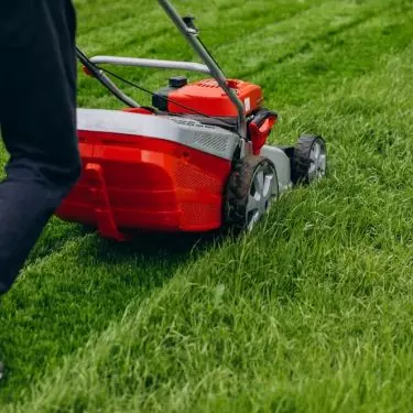 Make sure the mower you choose has enough power to mow the grass on your property