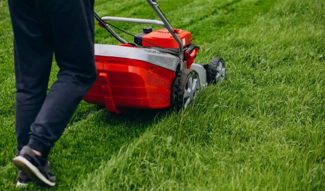 Make sure the mower you choose has enough power to mow the grass on your property