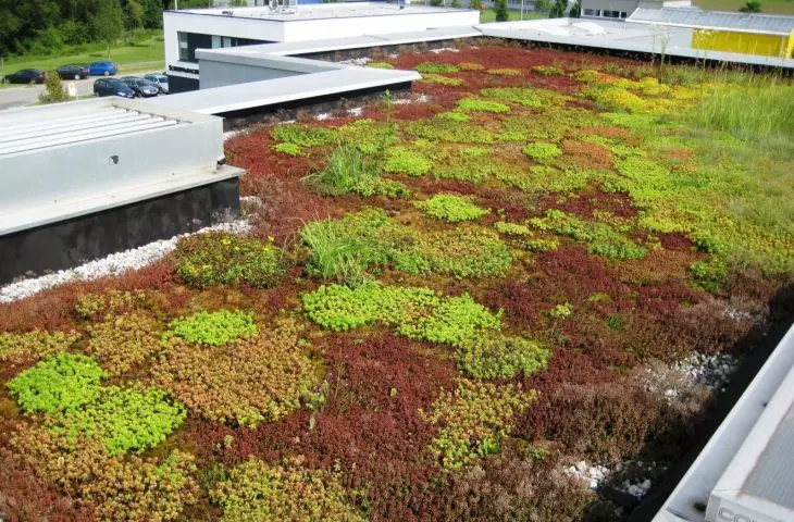  EPDM Sealeco – zaawansowana technologia hydroizolacji 