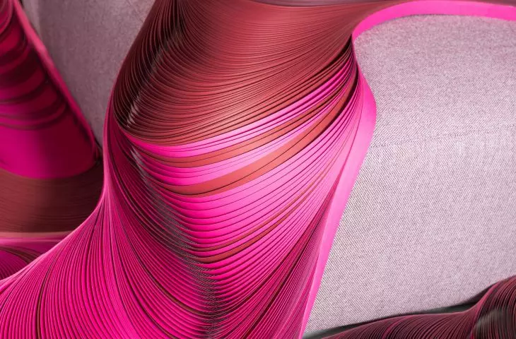 Elements of the installation resemble flower petals