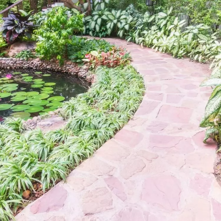 An interesting solution is paths in the form of arches