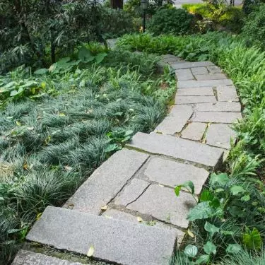 The garden path can be laid out in interesting patterns