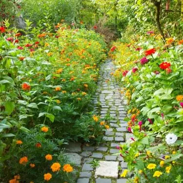 Irregular path adds natural charm to the garden