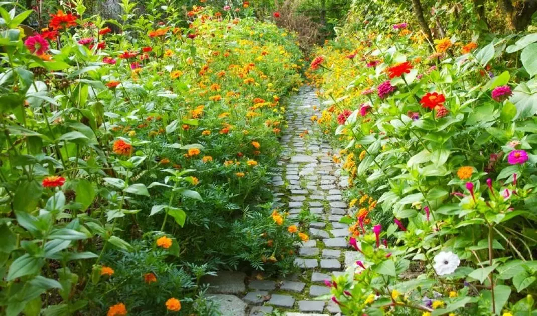 Irregular path adds natural charm to the garden