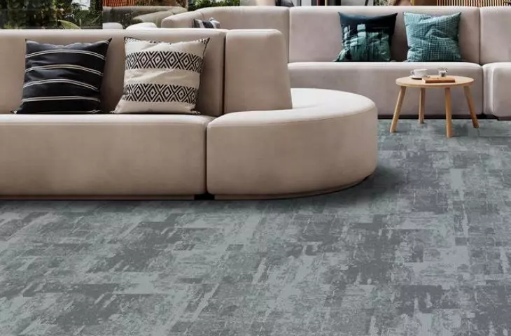 Arctic coastal mist carpet