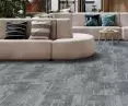 Arctic coastal mist carpet