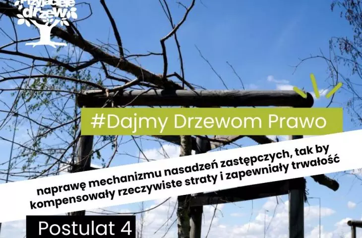 czwarty postulat