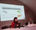 presentation by Dr. Gloria Pérez Álvarez-Quiñones