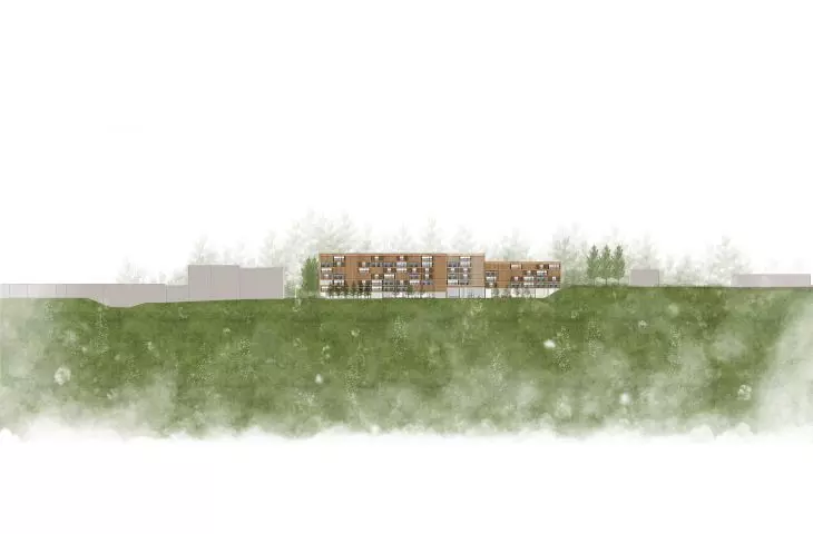 section