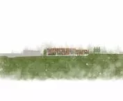 section