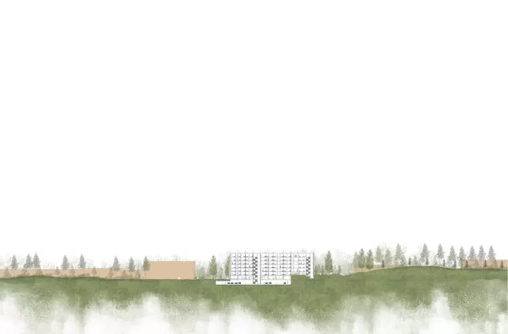 section