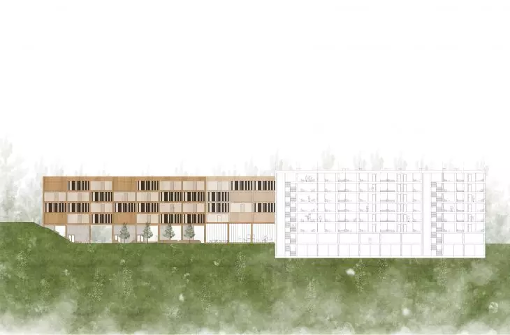 section