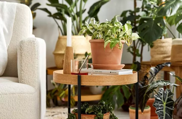 Put together different plants to create an interesting composition