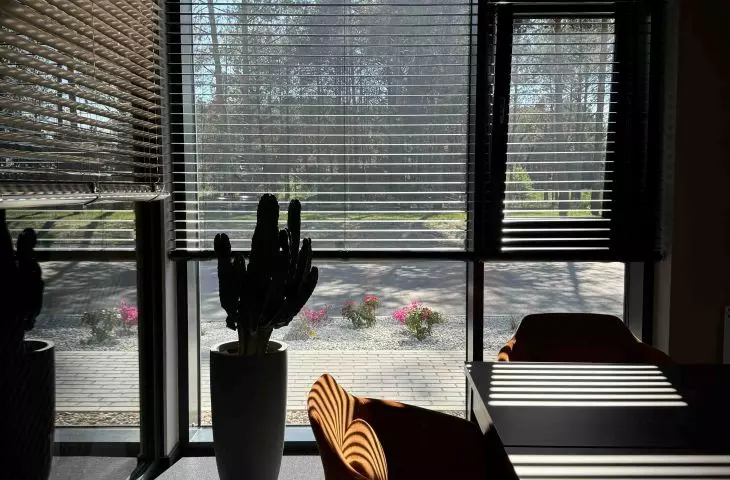 Harmony of nature with modern design in the world of blinds