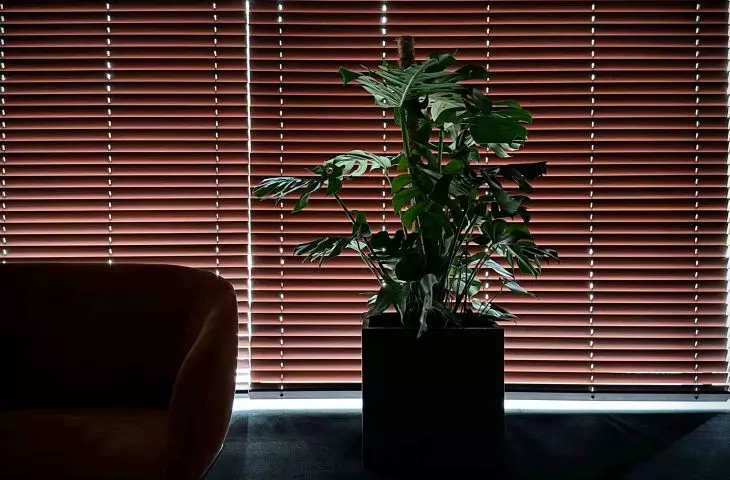 Harmony of nature with modern design in the world of blinds
