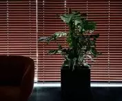 Harmony of nature with modern design in the world of blinds  