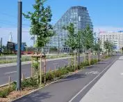 śródmieście Poznania po remontach w ramach Projektu Centrum