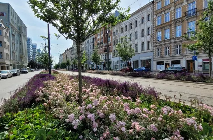 śródmieście Poznania po remontach w ramach Projektu Centrum