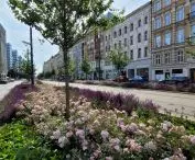 śródmieście Poznania po remontach w ramach Projektu Centrum