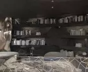 wizualizacja biblioteczki