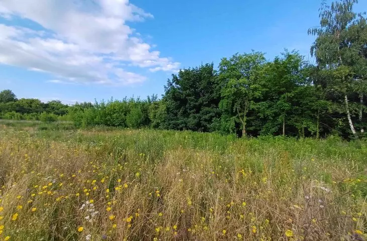 Małopolskie Centrum Nauki Cogiteon