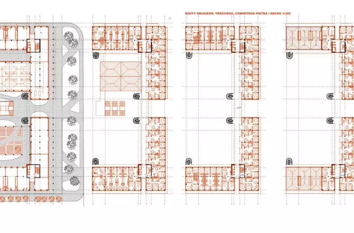 rzuty