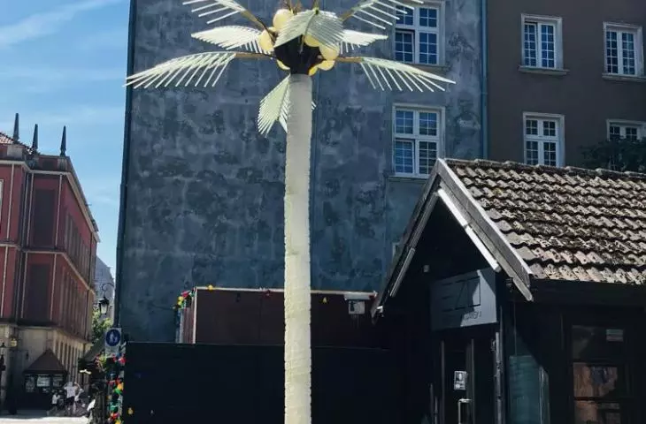 Removal of palm tree demanded by residents