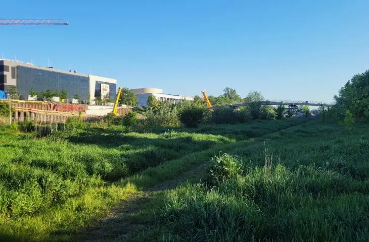 Budowa Mostów Berdychowskich w Poznaniu, czerwiec 2024 r.