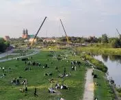 Construction of the Berdychowski Bridges in Poznań, June 2024.