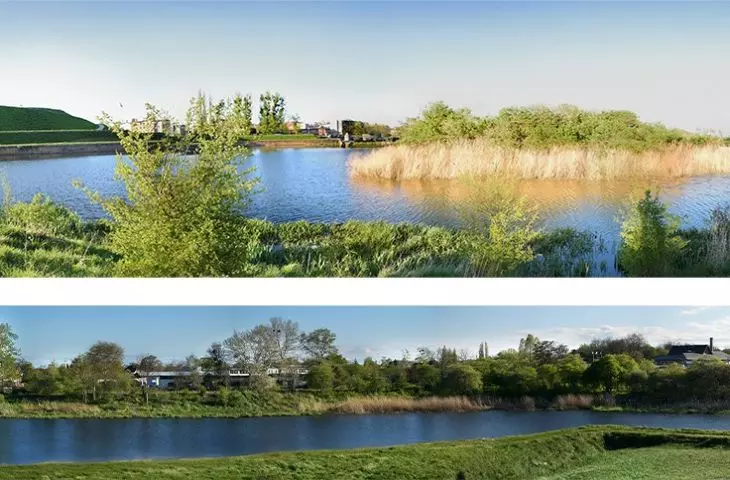 snapshot of the site