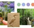 moodboard