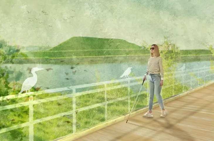 view of the haptic zone