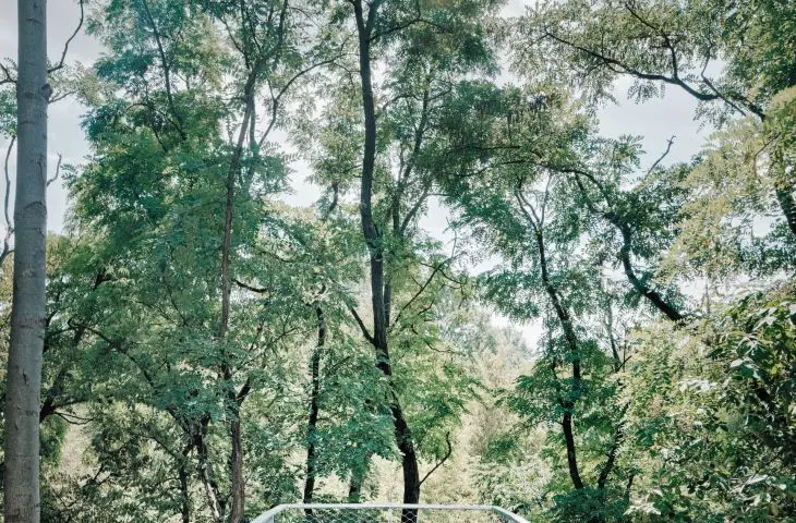 As Kasper Jakubowski, landscape architect, emphasizes, interference with nature was minimal