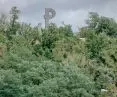 widok na Kopiec Powstania Warszawskiego