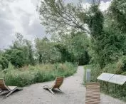 space for relaxation in the park