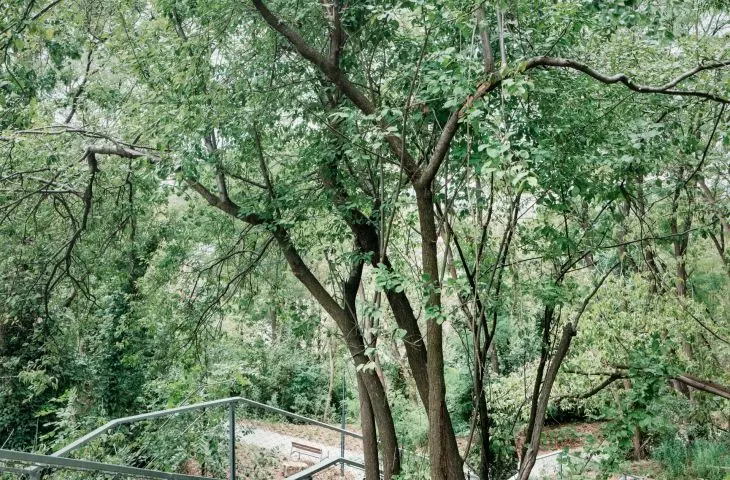 stairs leading to the mound