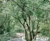 stairs leading to the mound