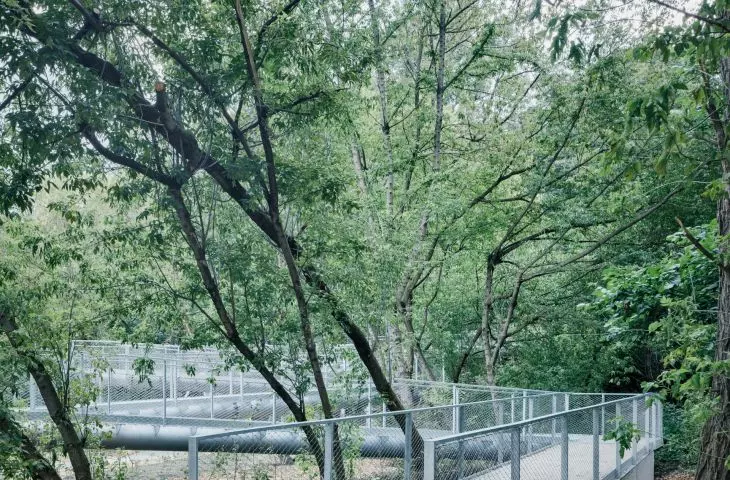 walking route in Warsaw's 