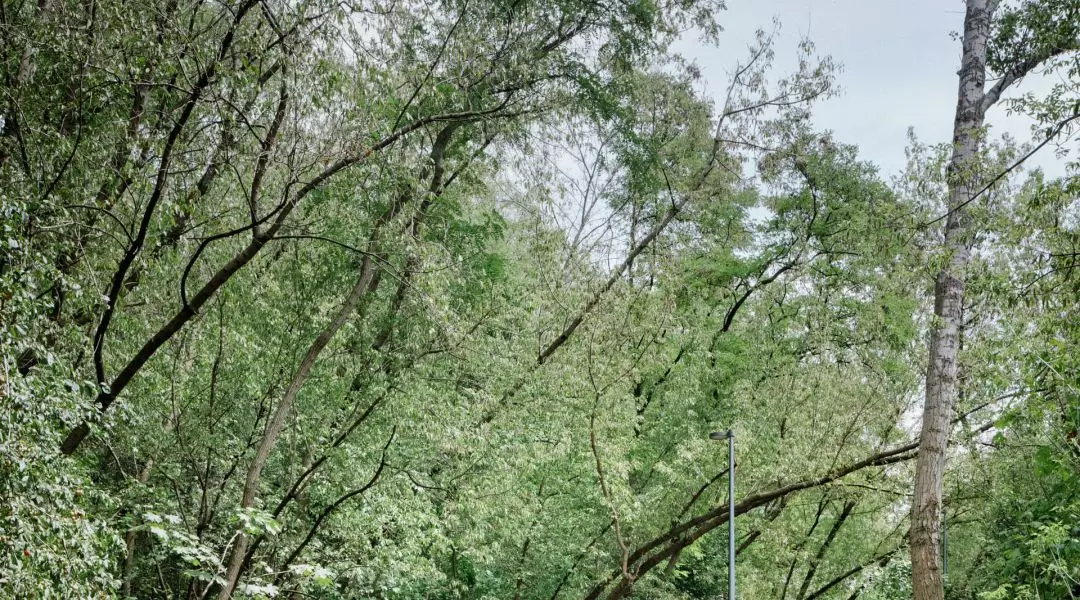 park pod Kopcem Powstania Warszawskiego