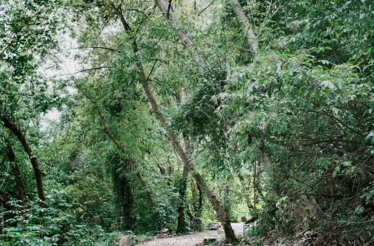 resting place in the park