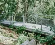 pathway between the trees